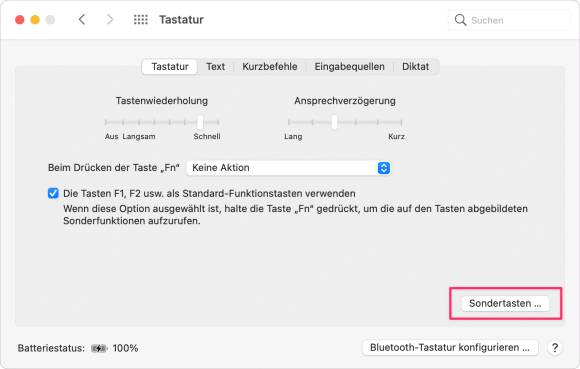 Die anders belegten Sondertasten können Umsteigern den letzten Nerv ziehen Der Screenshot zeigt, wo die Sondertasten neu belegt werden können